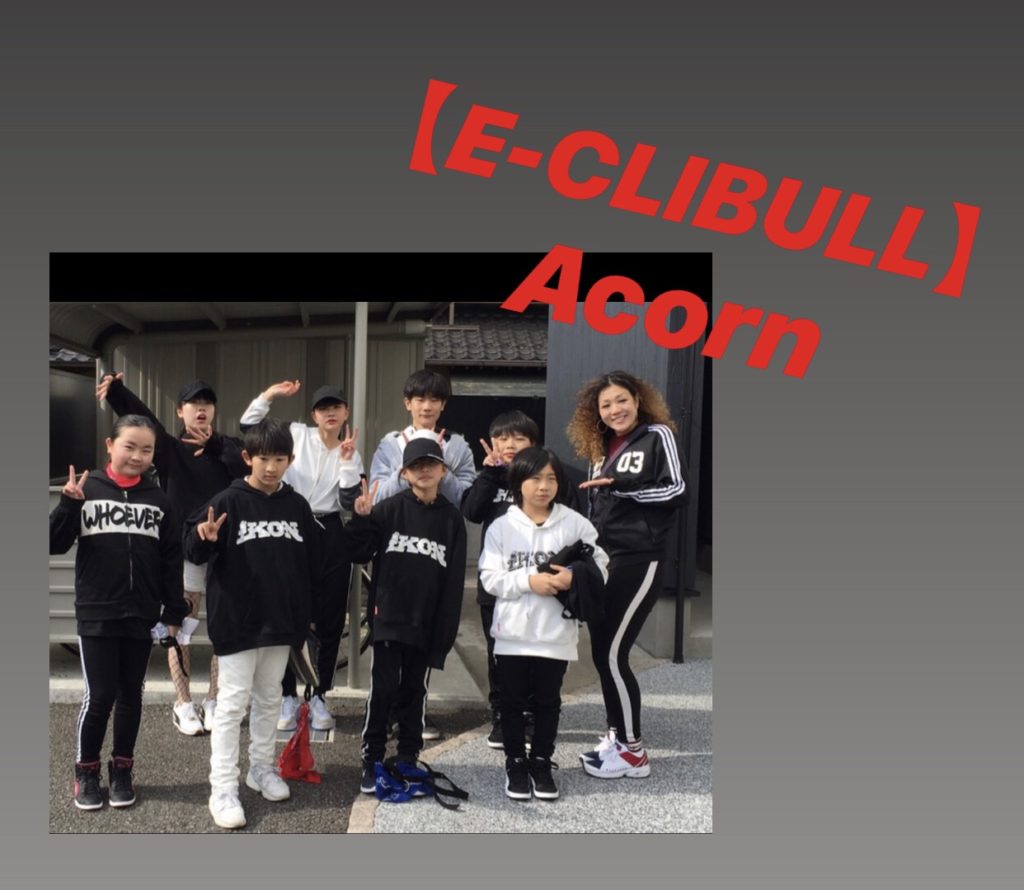 【E-CLIBULL】 ( いーくりぶる)／Acorn (エイコーン)